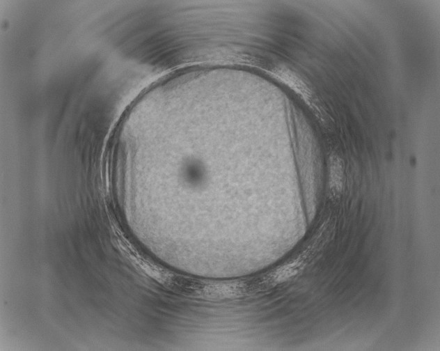 X0000066951078200604211809