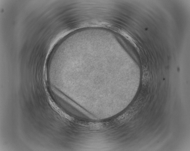 X0000066951080200604211809