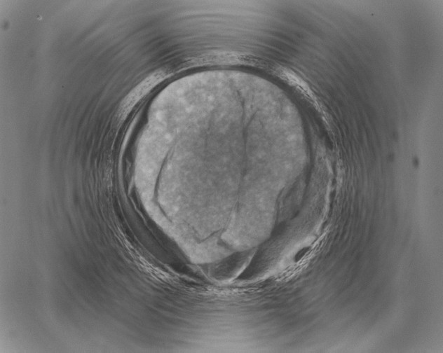 X0000066951081200604211809