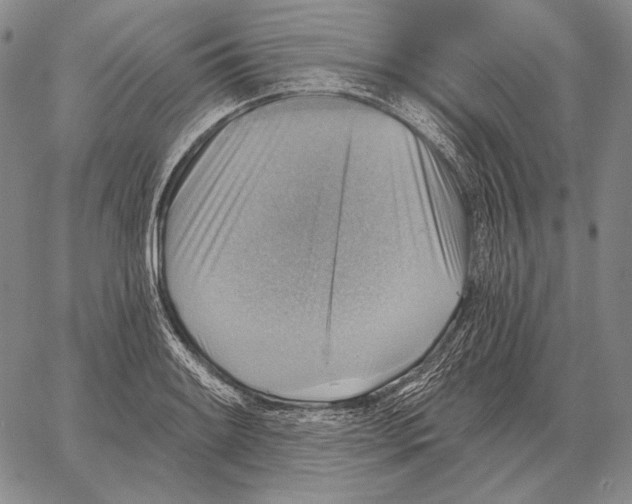 X0000066951084200604211809