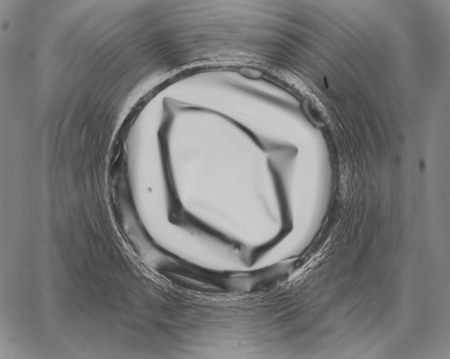 X0000066951085200604211809