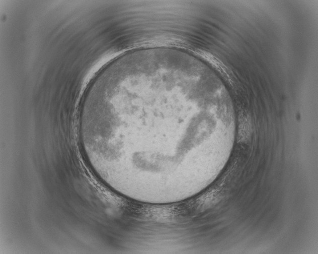 X0000066951086200604211809