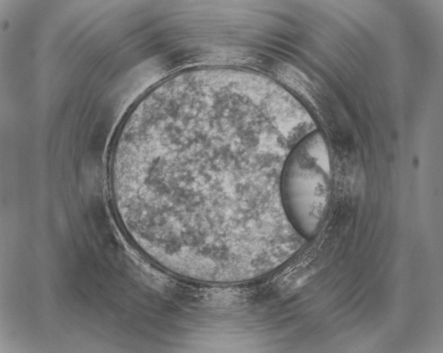 X0000066951087200604211809