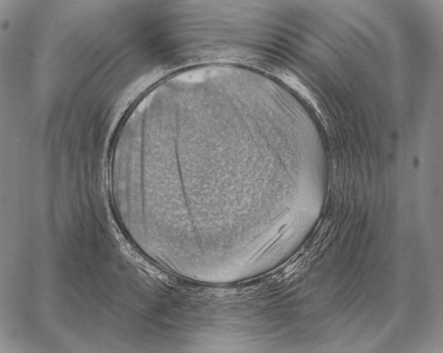 X0000066951088200604211809