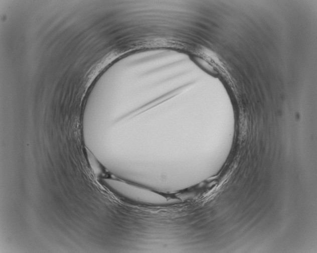 X0000066951089200604211809