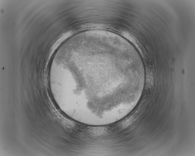 X0000066951090200604211809