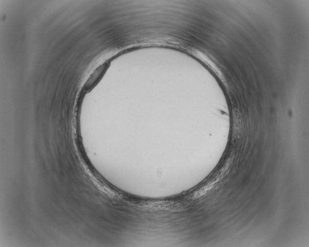 X0000066951093200604211809