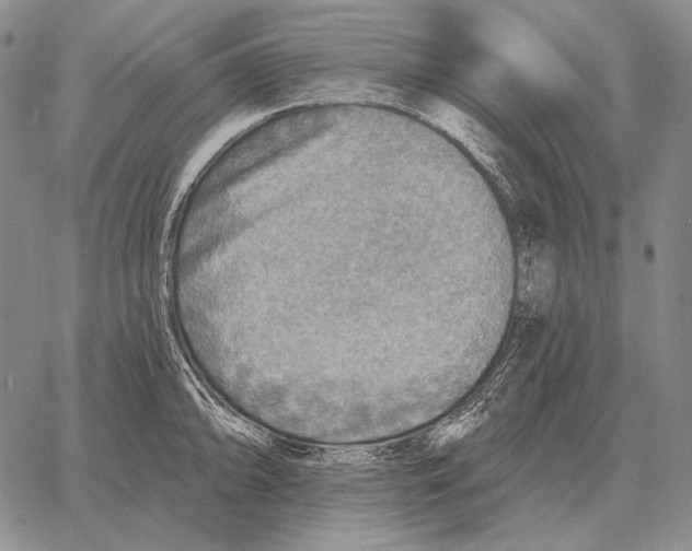 X0000066951094200604211809