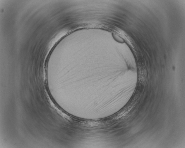 X0000066951095200604211809