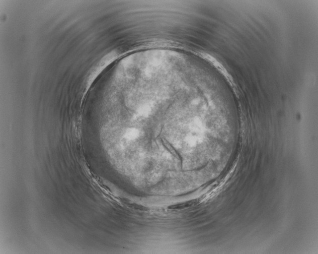 X0000066951097200604211809