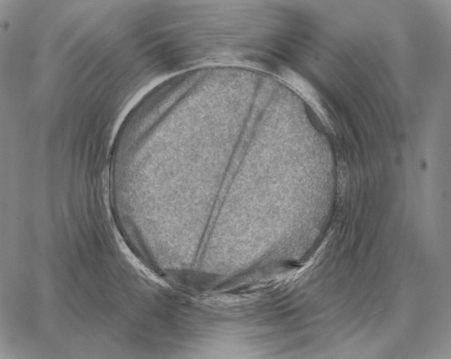 X0000066951100200604211809