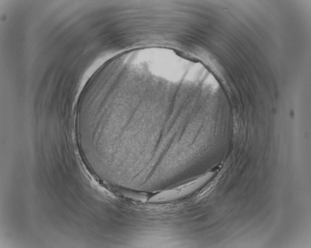 X0000066951102200604211809