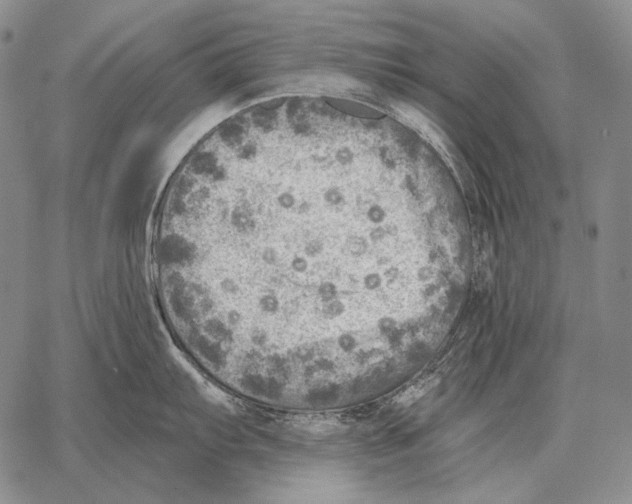 X0000066951103200604211809