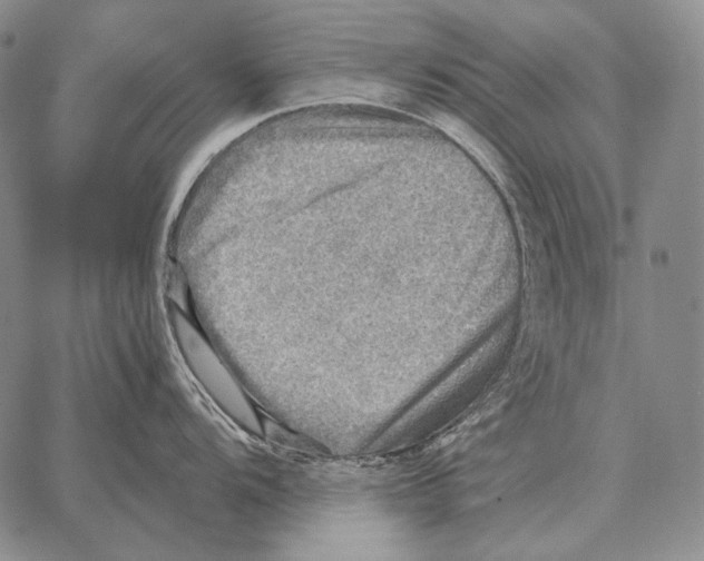 X0000066951104200604211809