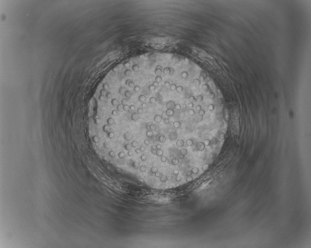 X0000066951105200604211808