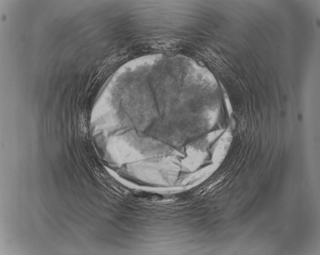 X0000066951106200604211808