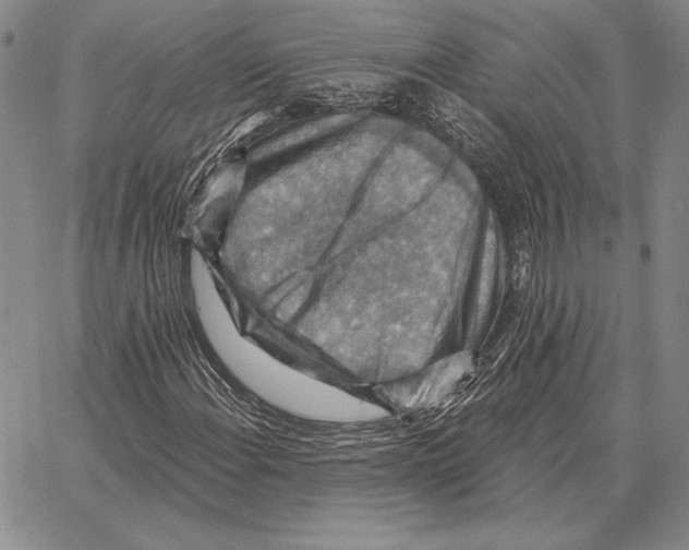 X0000066951108200604211808