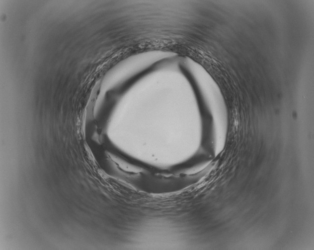 X0000066951109200604211808