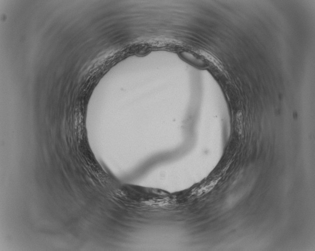 X0000066951111200604211808