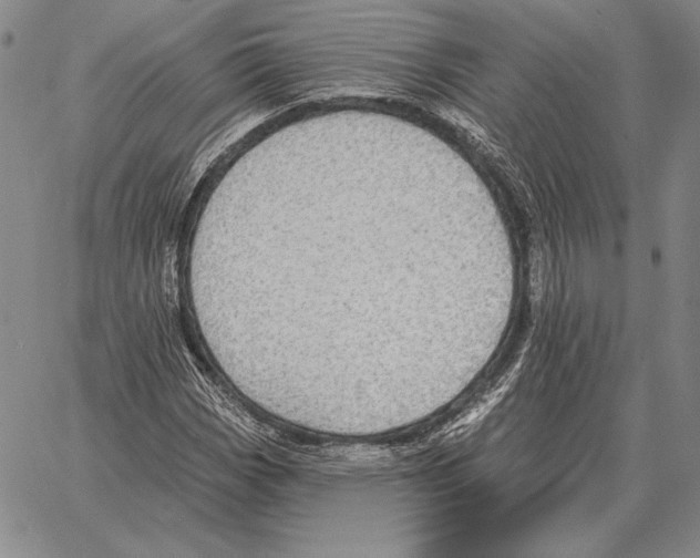 X0000066951113200604211808