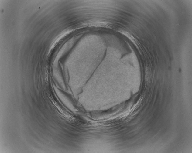 X0000066951115200604211808