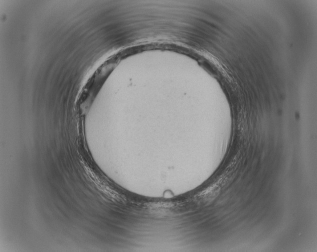 X0000066951118200604211808