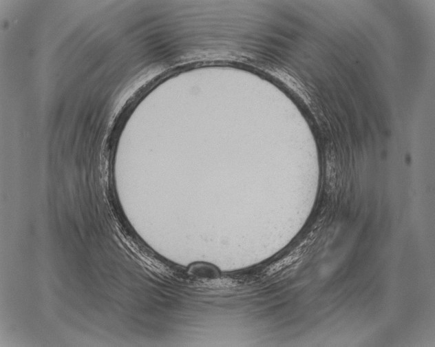 X0000066951119200604211808