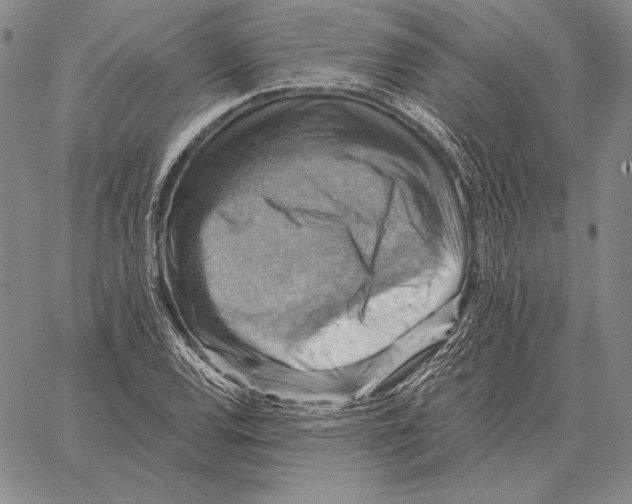 X0000066951120200604211808