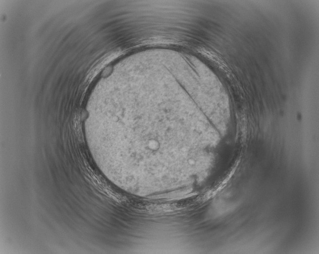 X0000066951121200604211808