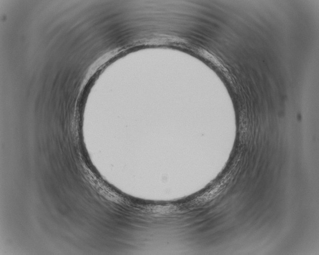 X0000066951122200604211808