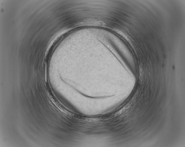 X0000066951123200604211808