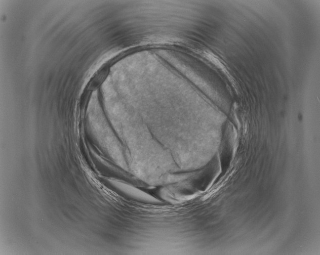 X0000066951124200604211808