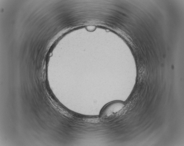 X0000066951126200604211808