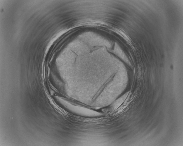 X0000066951128200604211808