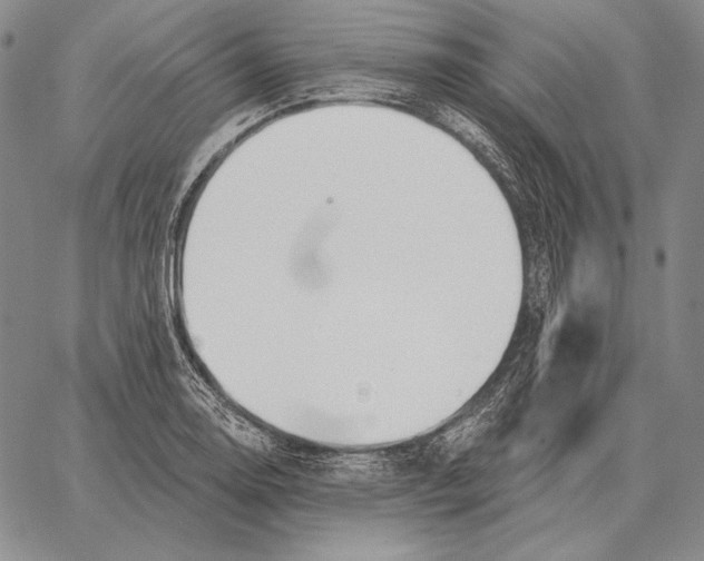 X0000066951130200604211808