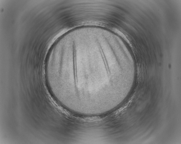 X0000066951133200604211808