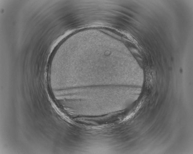 X0000066951134200604211808