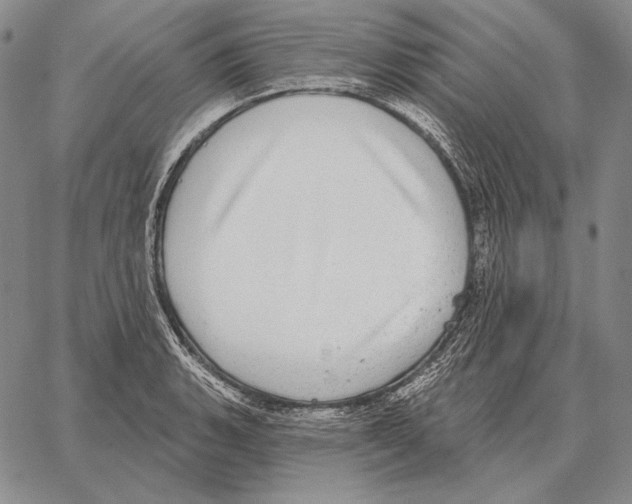 X0000066951135200604211808