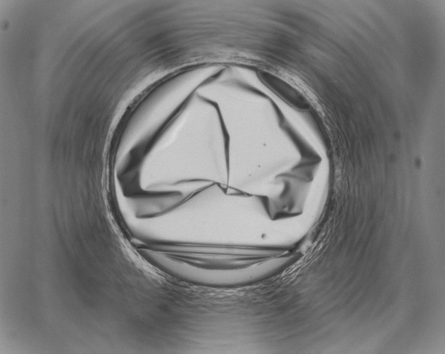 X0000066951136200604211808