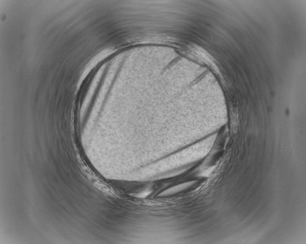 X0000066951138200604211808