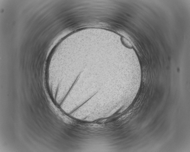 X0000066951139200604211808