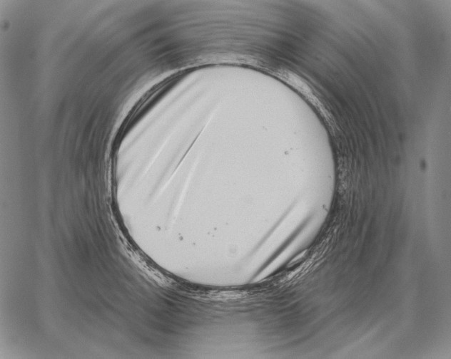 X0000066951140200604211808