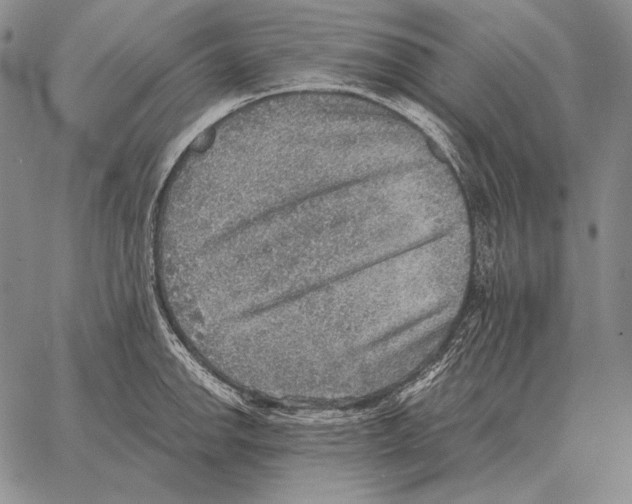 X0000066951142200604211808