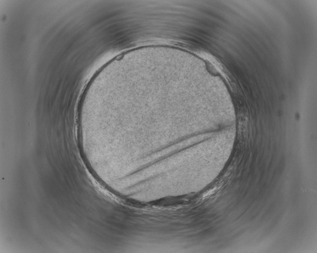 X0000066951143200604211808