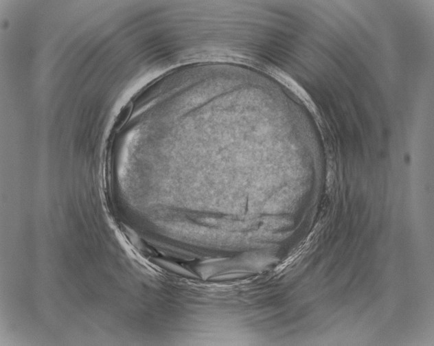 X0000066951144200604211808