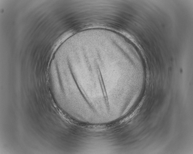 X0000066951145200604211809