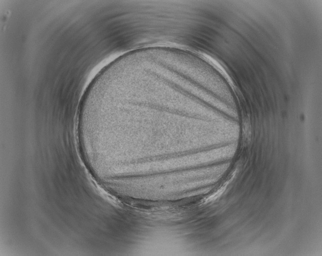 X0000066951149200604211809