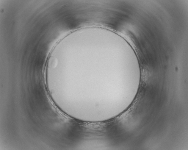 X0000066951150200604211809