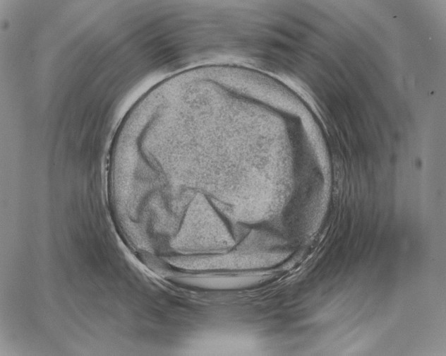 X0000066951151200604211809