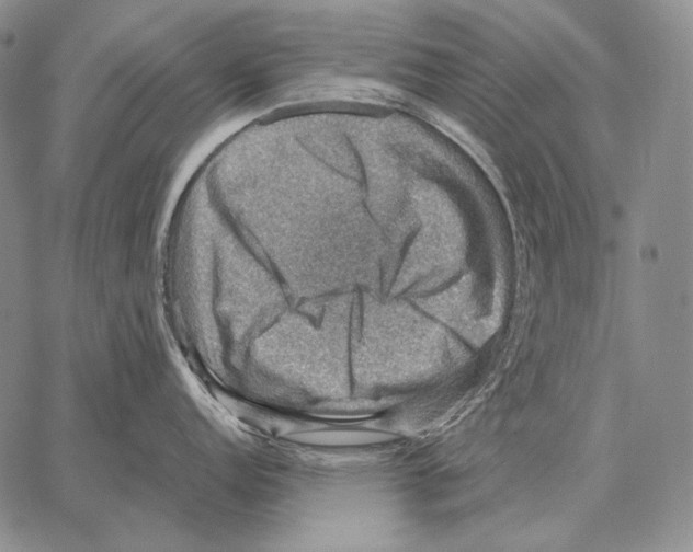 X0000066951152200604211809